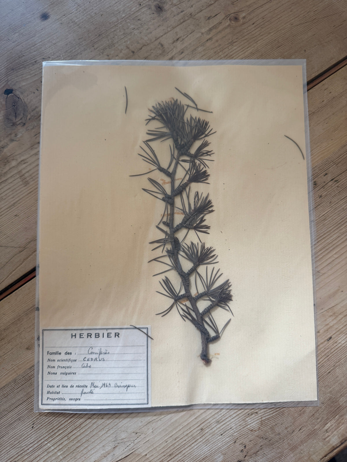 French herb page dated 1963
