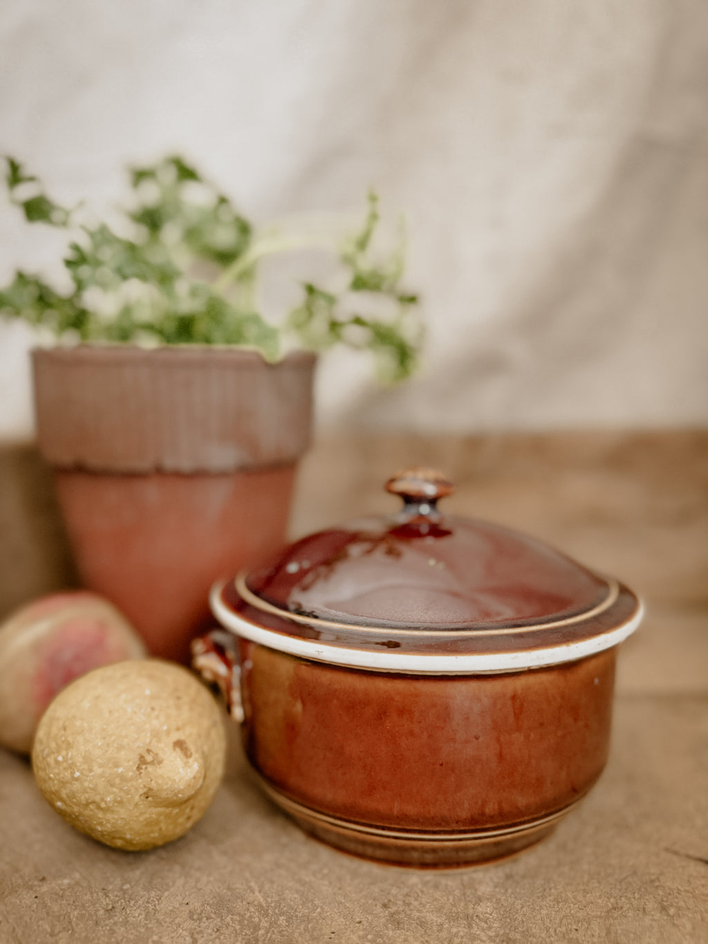 The Found Orchard — Signature Candle French Faience Soup Tureen Terre de Fer Bowl with Lid 22oz