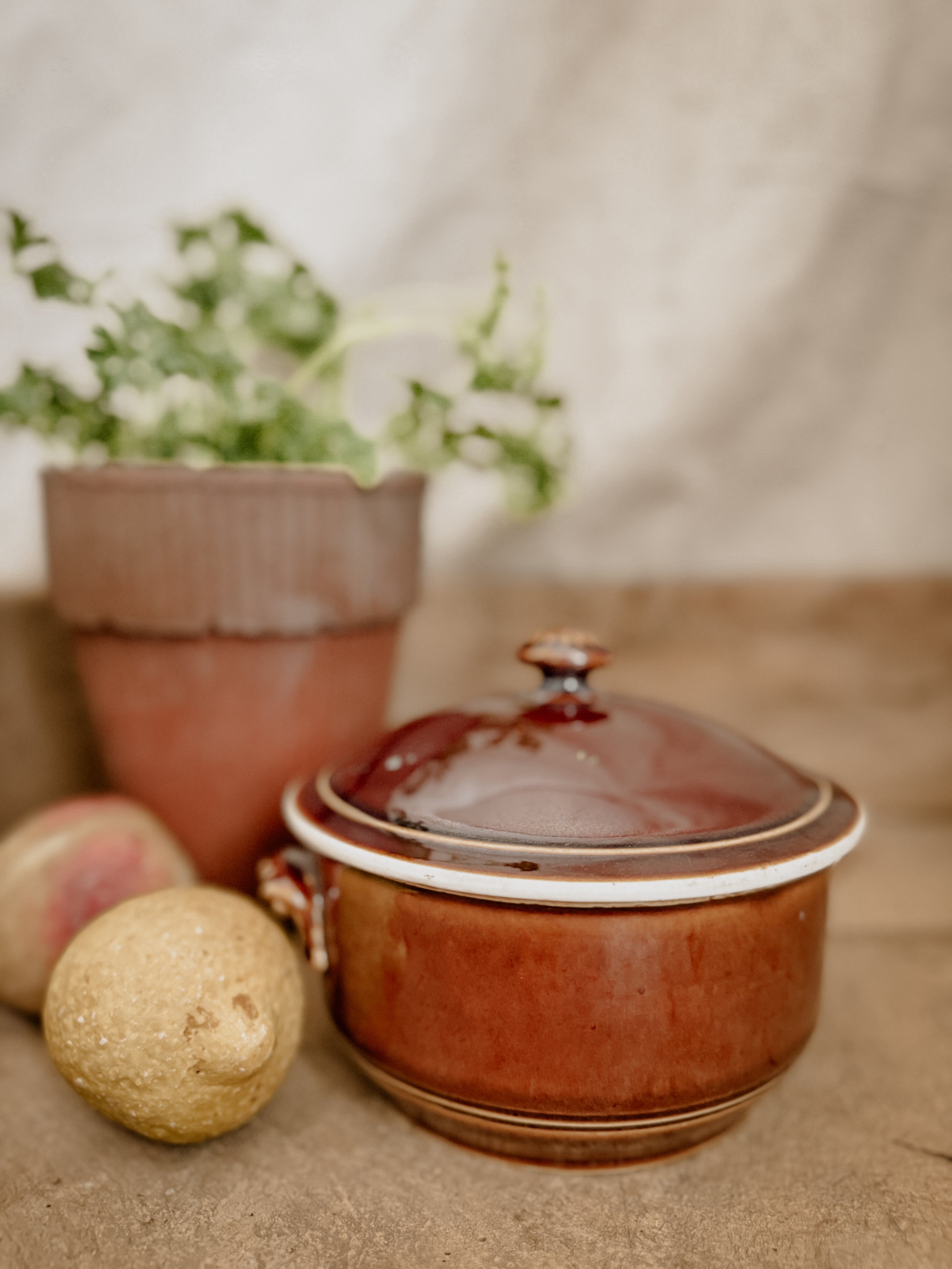 The Found Orchard — Signature Candle French Faience Soup Tureen Terre de Fer Bowl with Lid 22oz