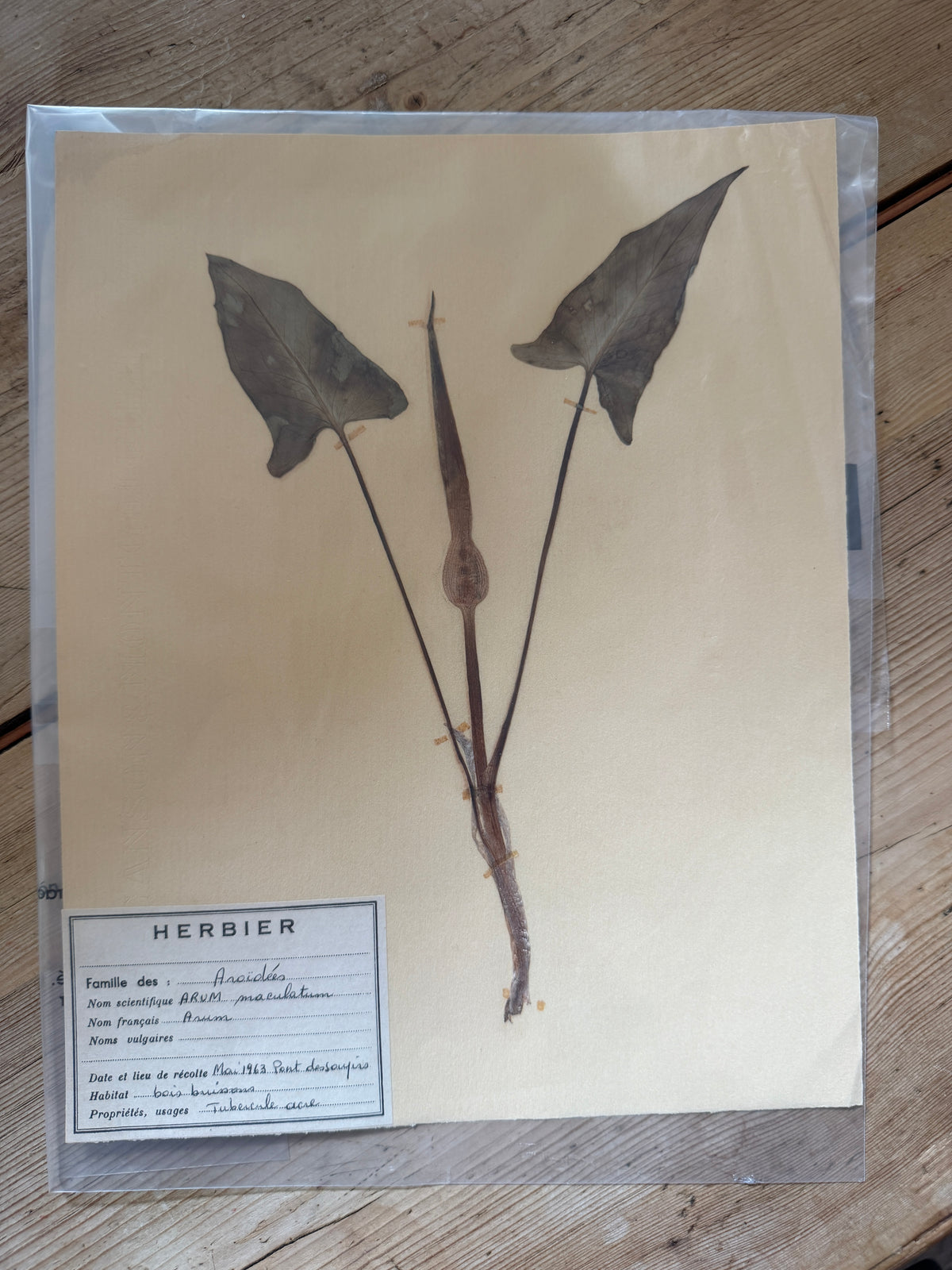 French herb page dated 1963